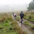 /album/foro-bio-regional/ruta-perote-en-la-lluvia-014-jpg/